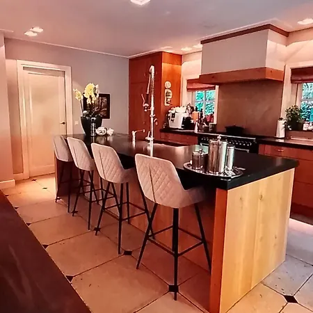 Luxe Landhuis Met Unieke Faciliteiten Bergen