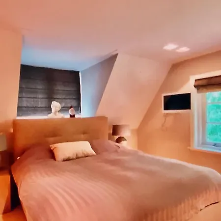 Luxe Landhuis Met Unieke Faciliteiten Bergen